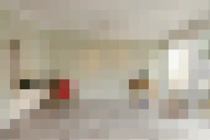Oudestad 10 A Oostburg thumbnail 12