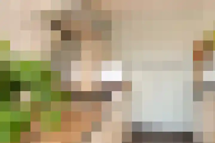 Oudestad 10 A Oostburg thumbnail 7
