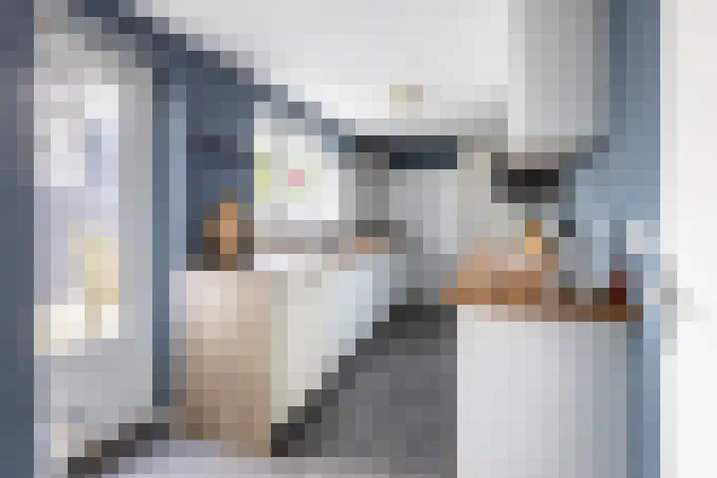 Oudestad 10 Biervliet thumbnail 15