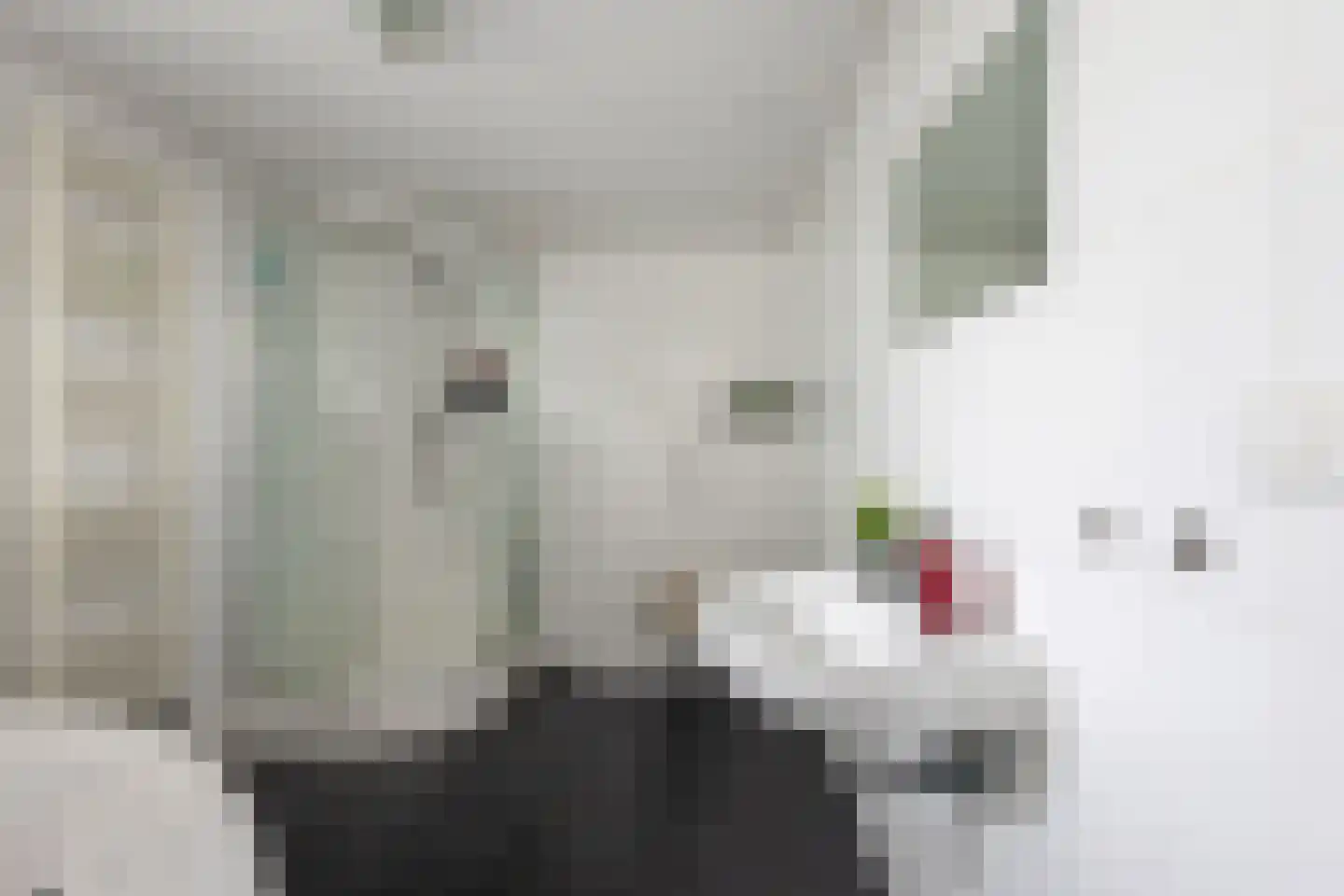 Oudestad 10 Biervliet thumbnail 18
