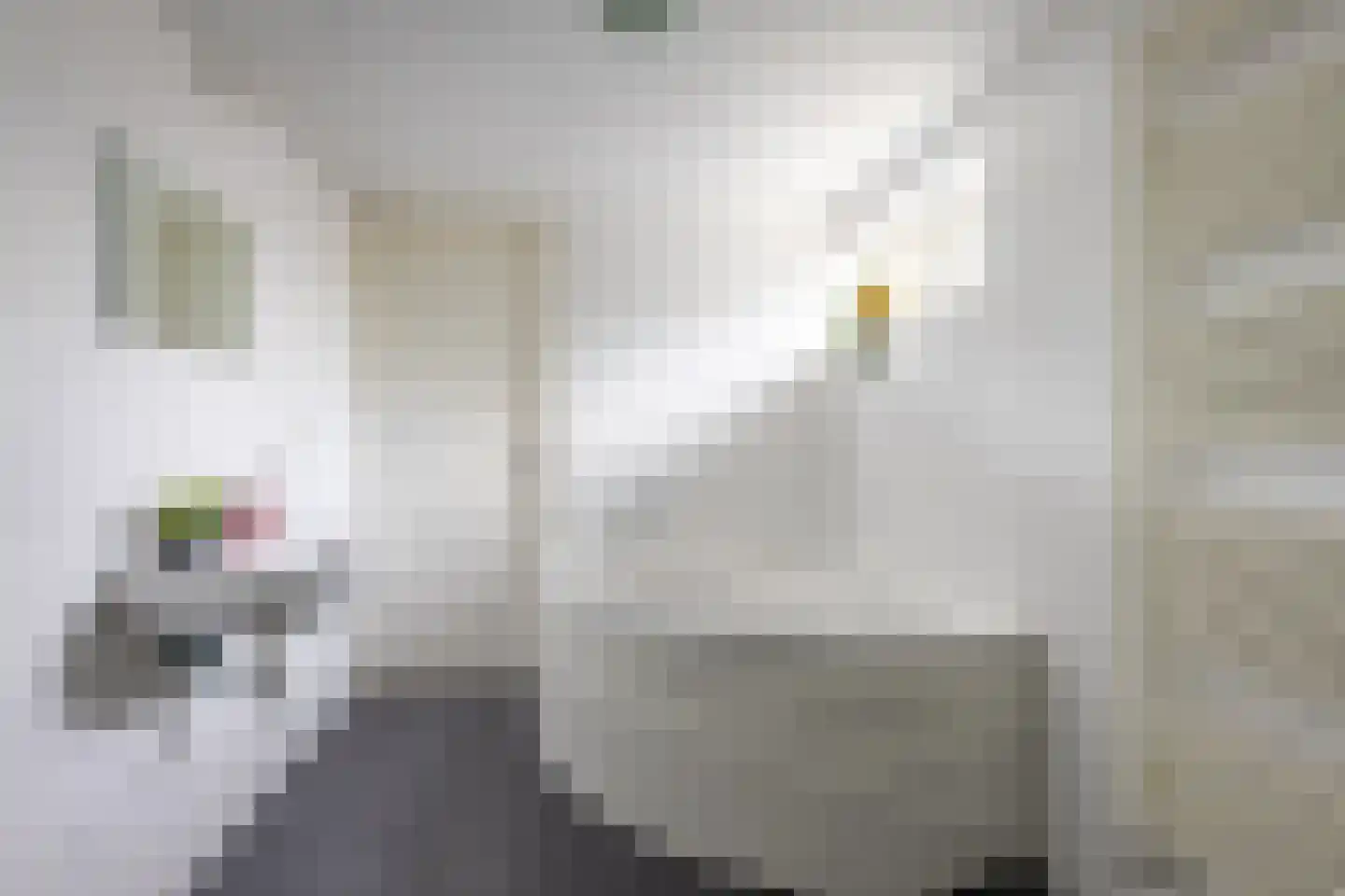 Oudestad 10 Biervliet thumbnail 19