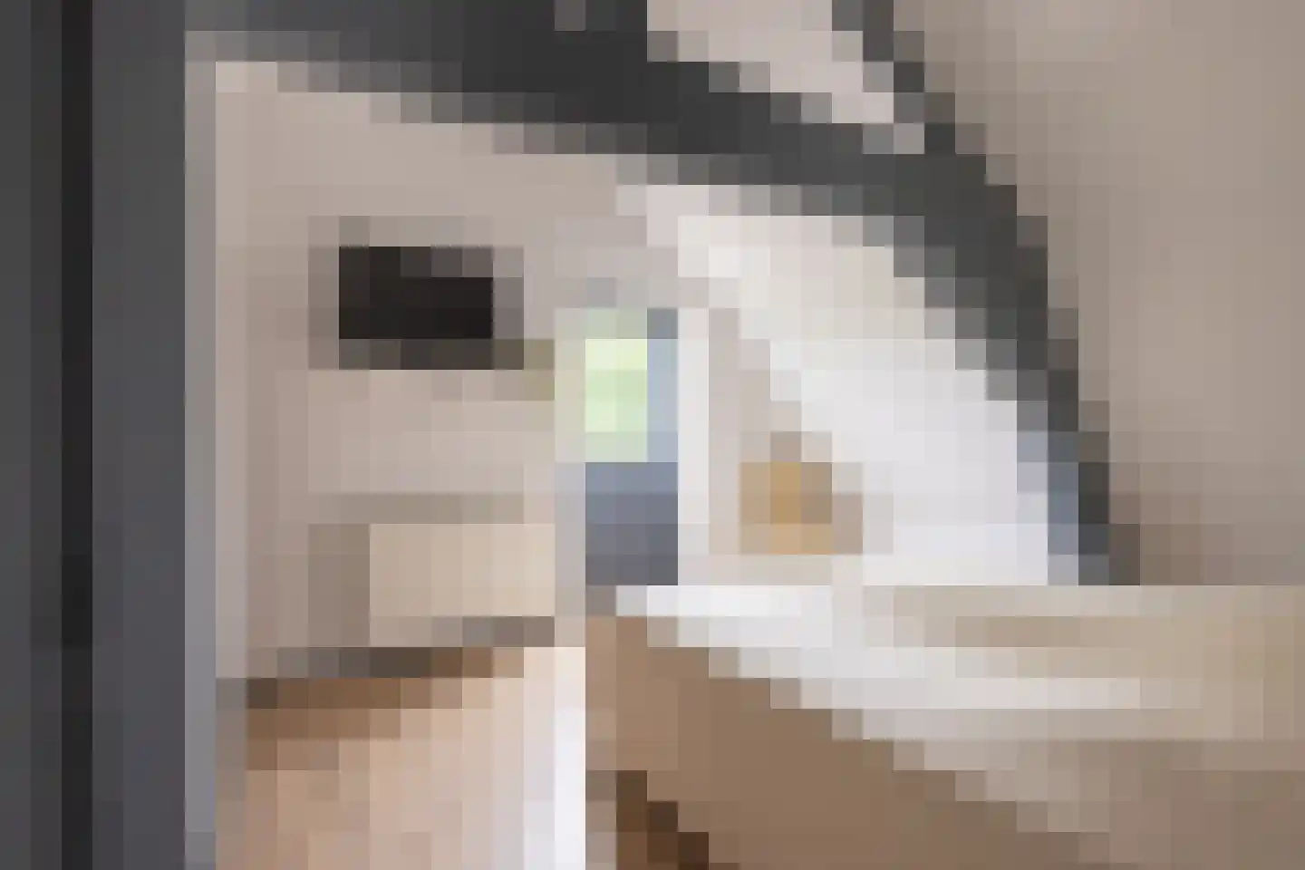 Oudestad 10 Biervliet thumbnail 22