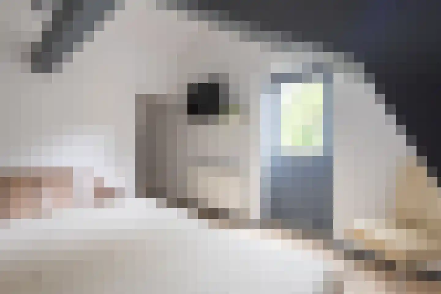 Oudestad 10 Biervliet thumbnail 23