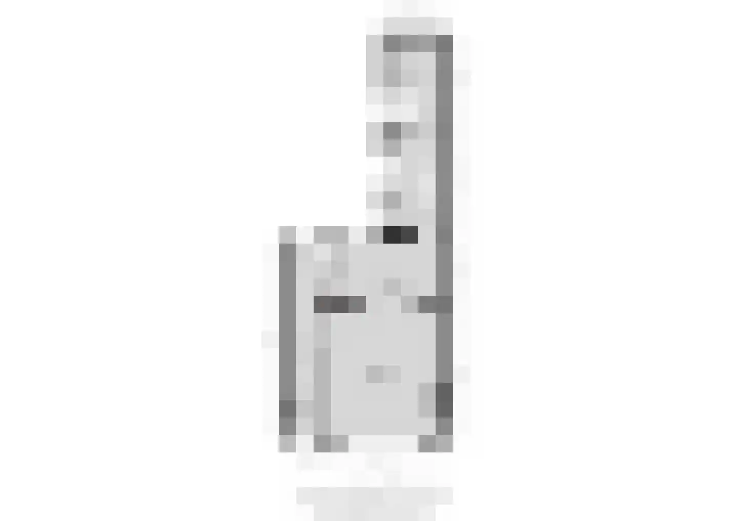 Oudestad 10 Biervliet thumbnail 32