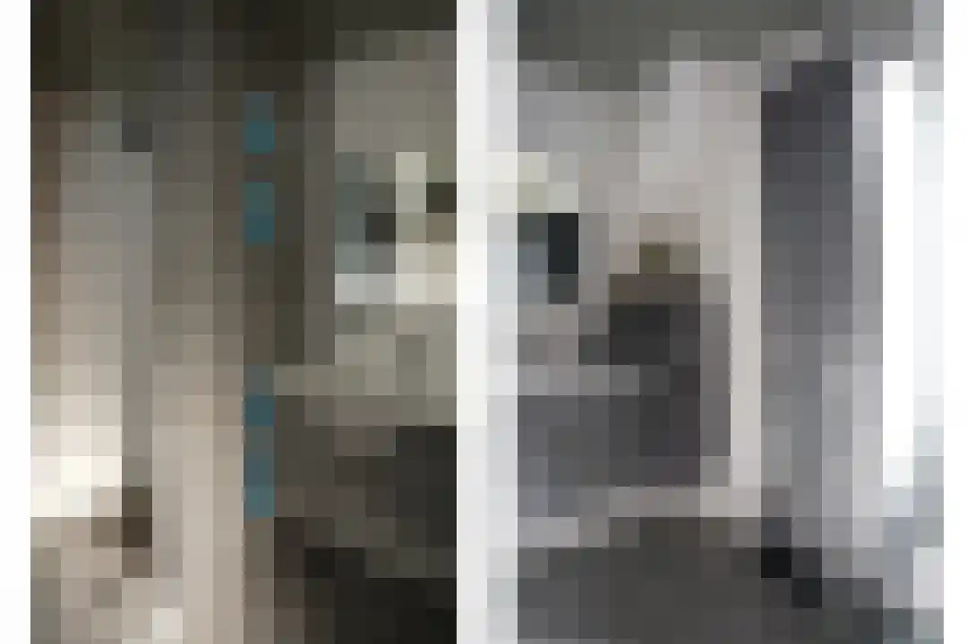 Oudestad 10 Oostburg thumbnail 32