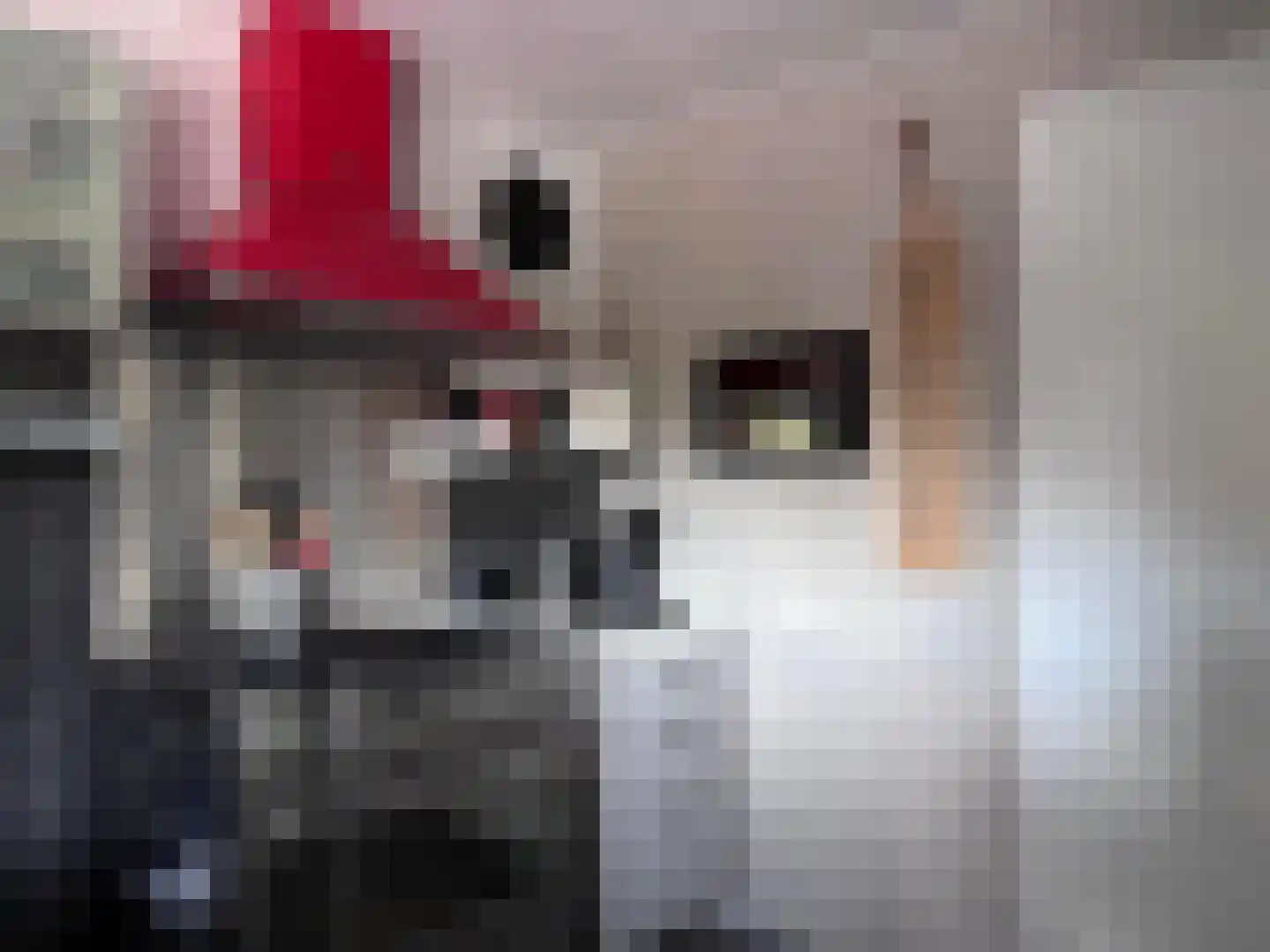 Oudestad 10 Oostburg thumbnail 6