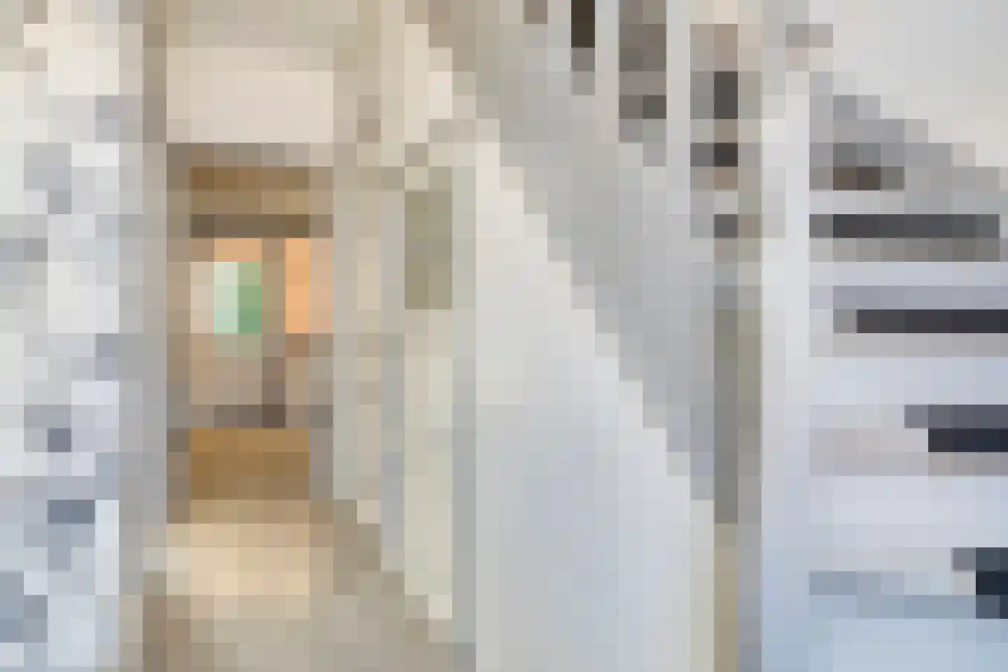 Oudestad 17 Biervliet thumbnail 13