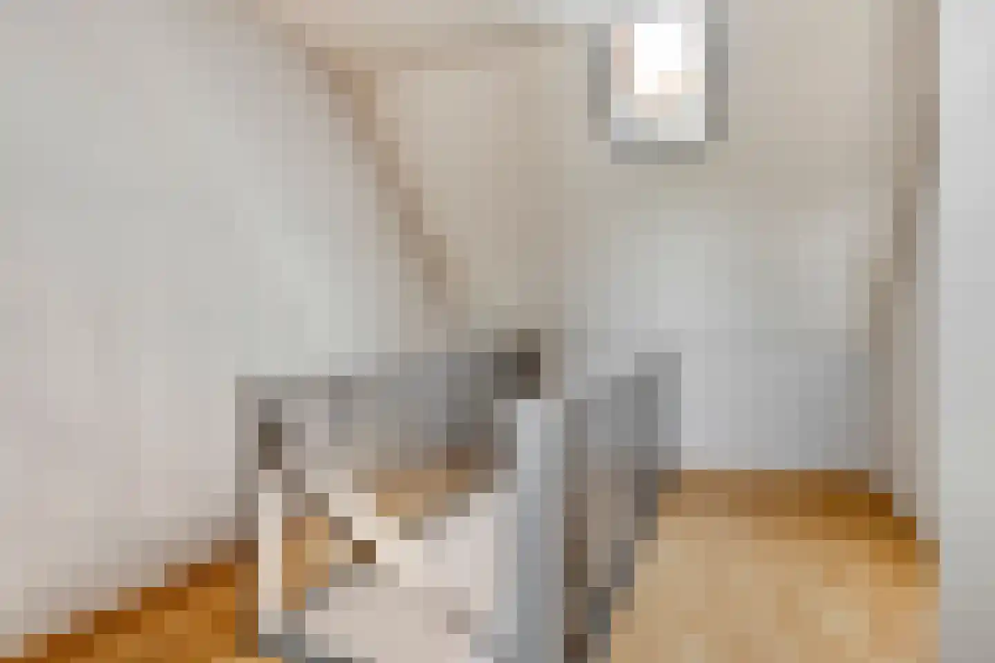 Oudestad 17 Biervliet thumbnail 14