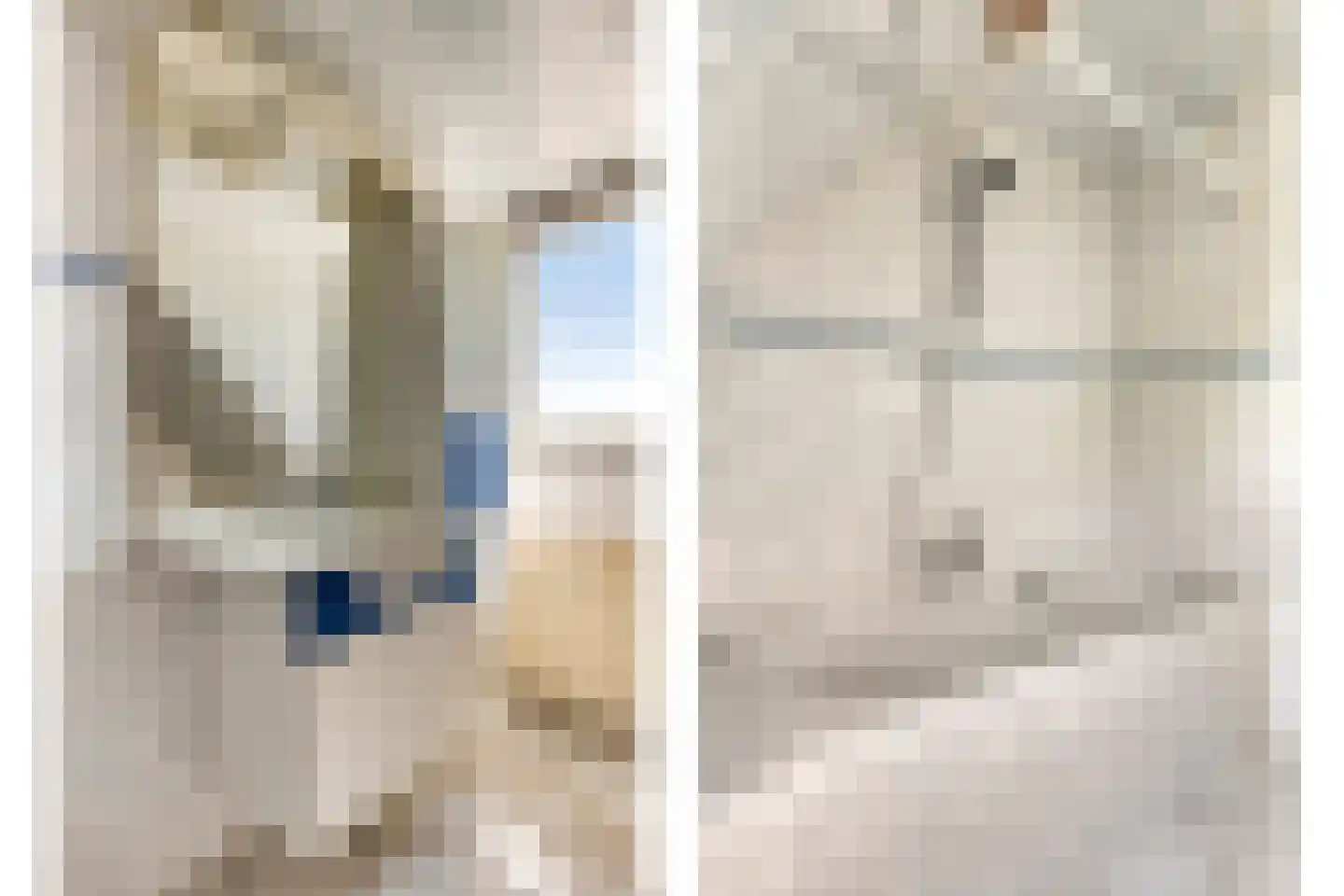 Oudestad 17 Biervliet thumbnail 20