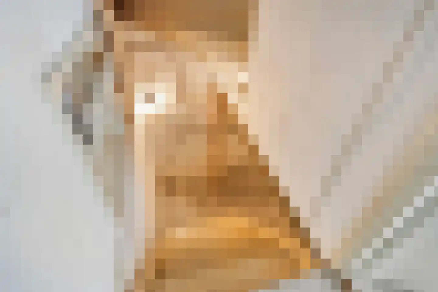 Oudestad 17 Biervliet thumbnail 23