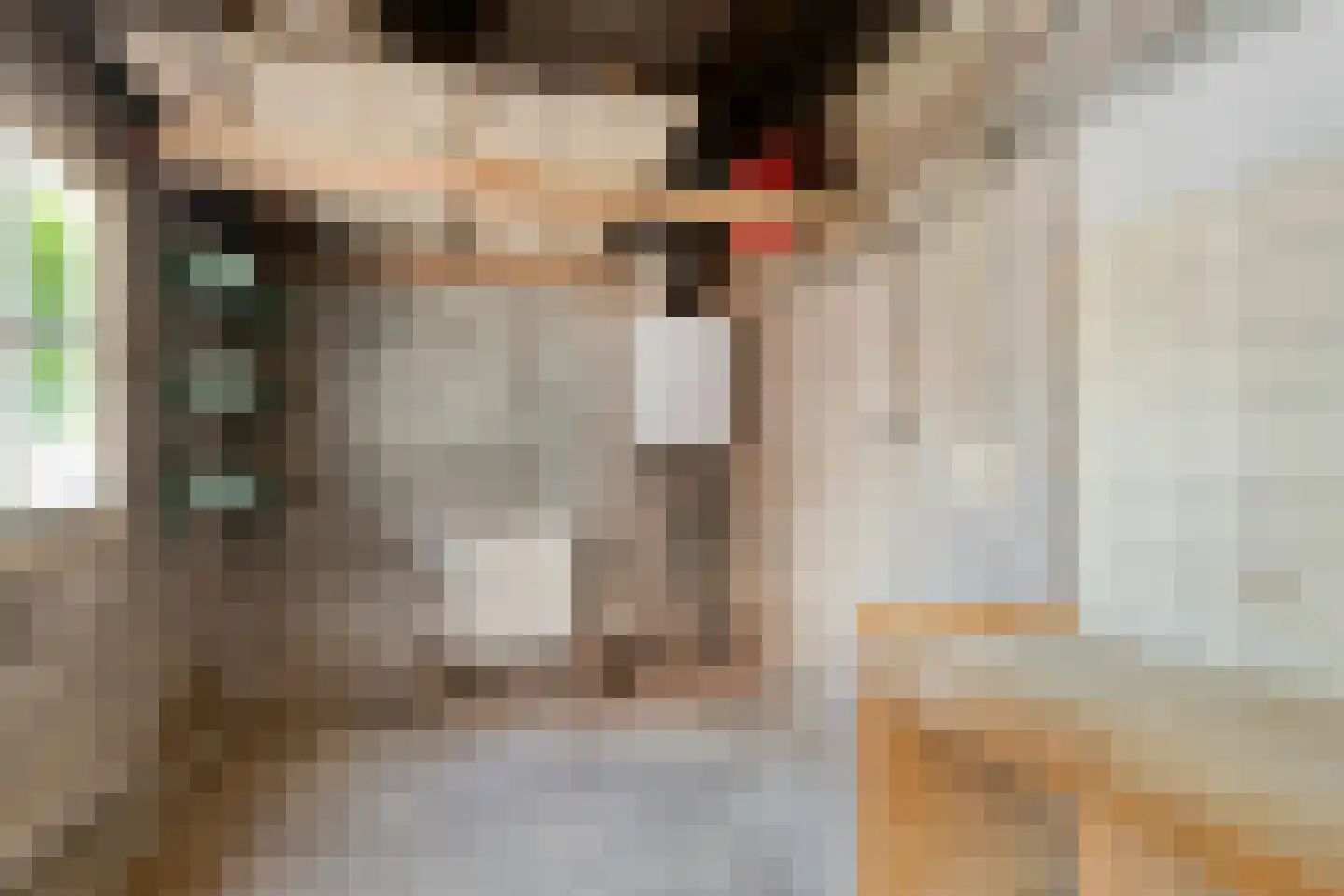 Oudestad 17 Biervliet thumbnail 25