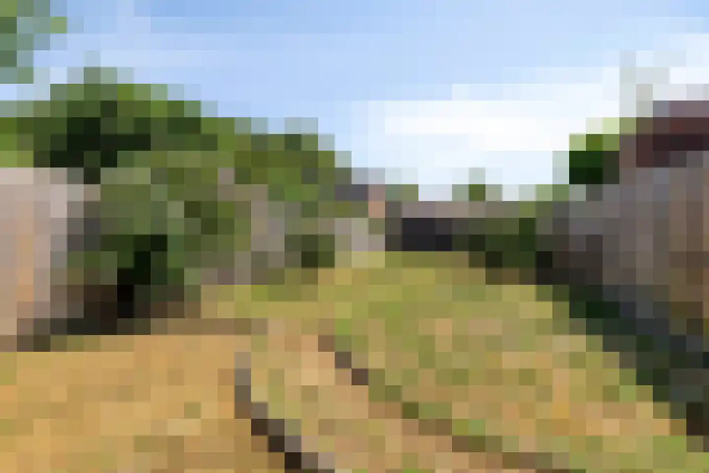 Oudestad 17 Biervliet thumbnail 31