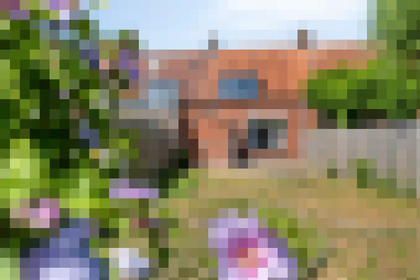 Oudestad 17 Biervliet thumbnail 36