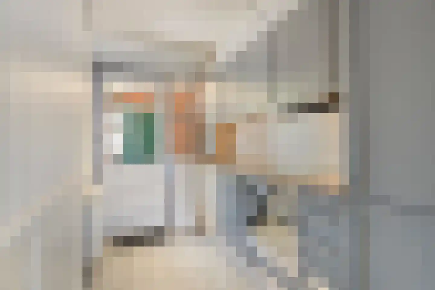 Oudestad 17 Biervliet thumbnail 9