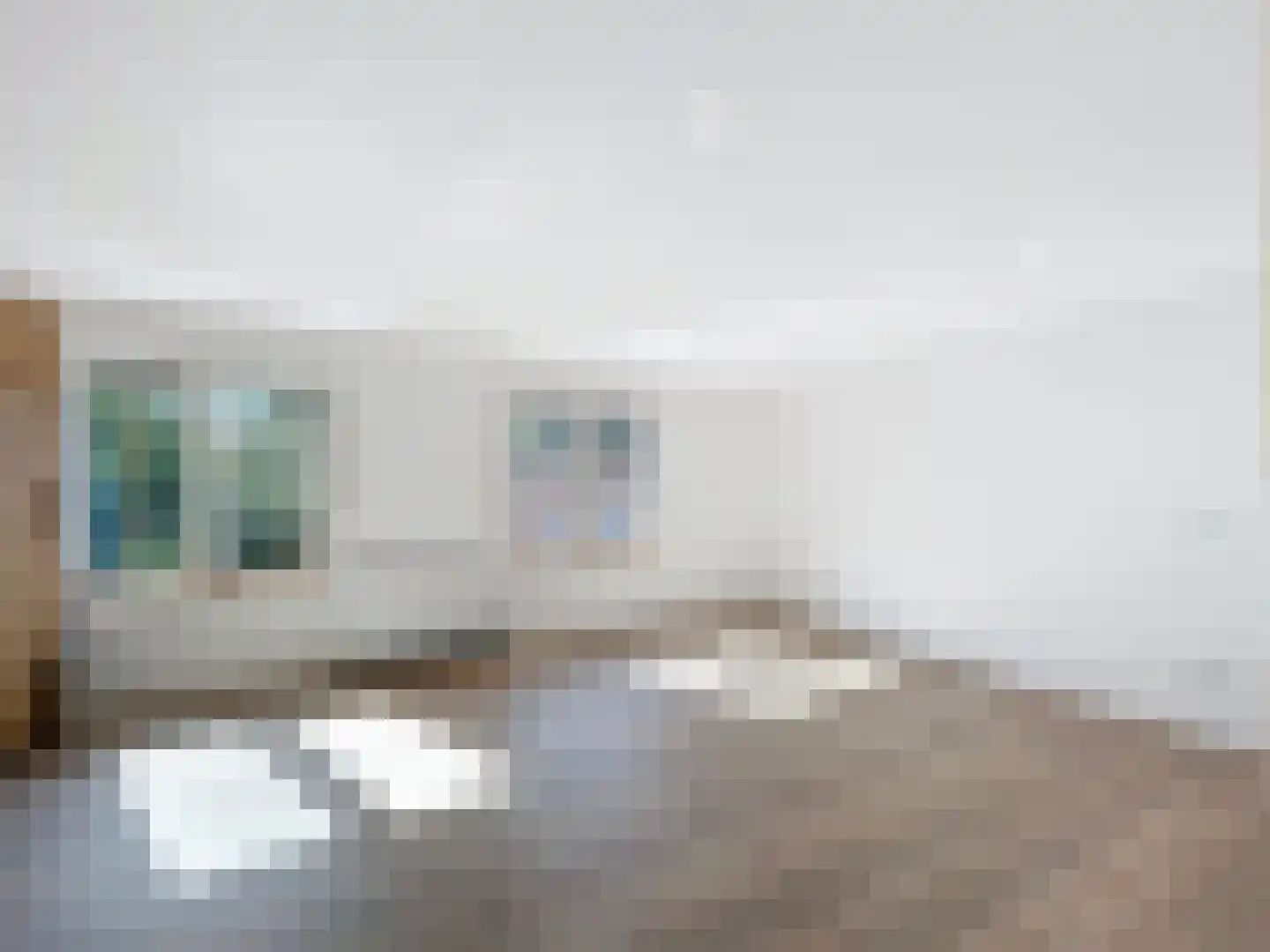 Oudestad 3 Biervliet thumbnail 17