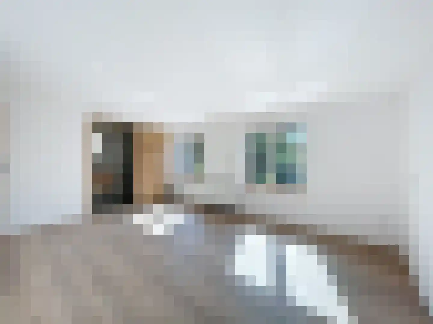 Oudestad 3 Biervliet thumbnail 19