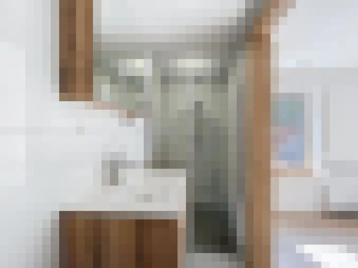 Oudestad 3 Biervliet thumbnail 21