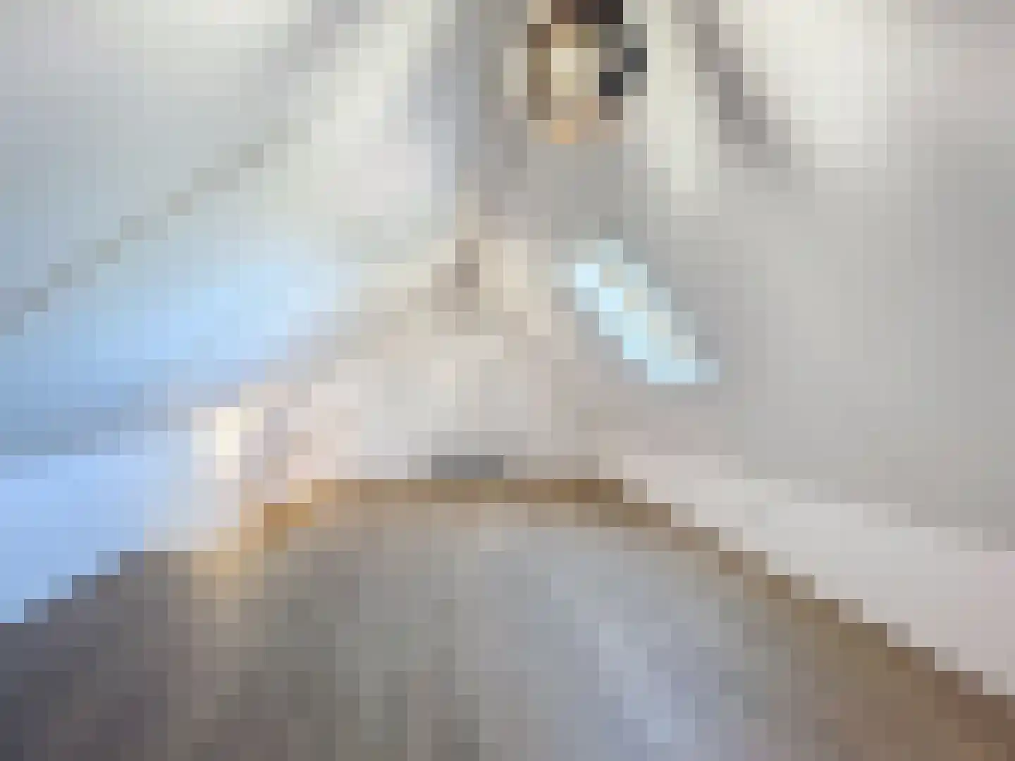Oudestad 3 Biervliet thumbnail 22