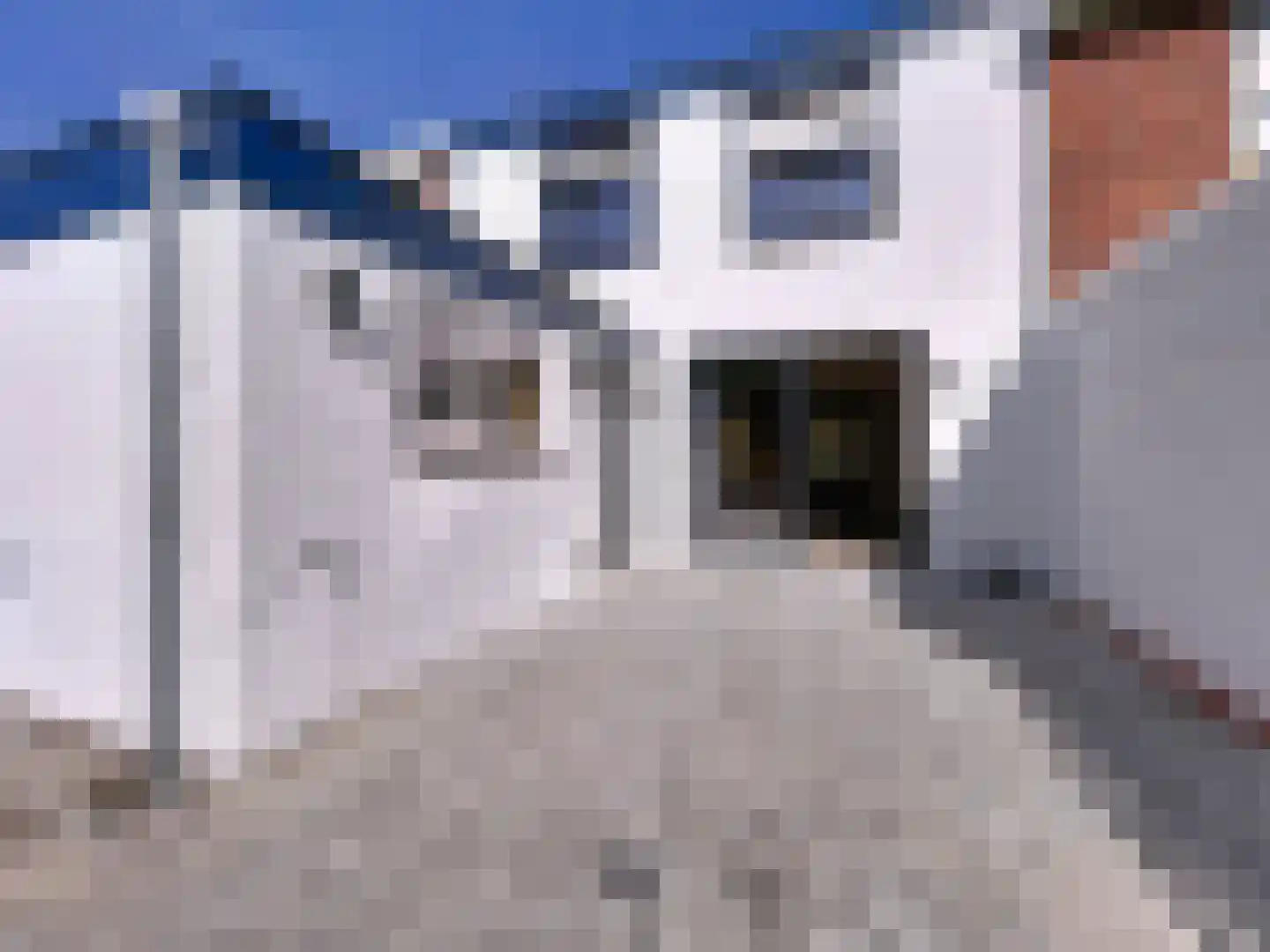 Oudestad 3 Biervliet thumbnail 26