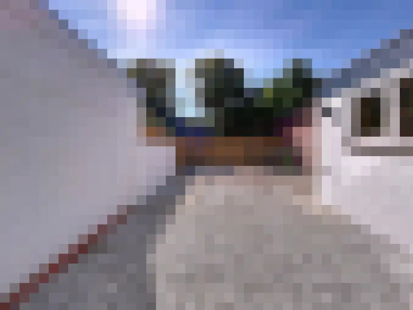 Oudestad 3 Biervliet thumbnail 27