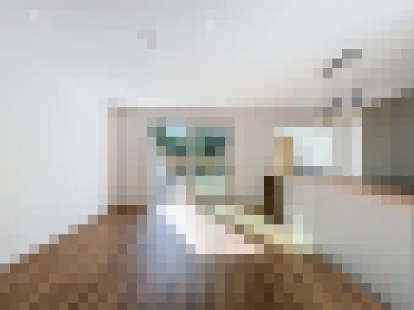 Oudestad 3 Biervliet thumbnail 5