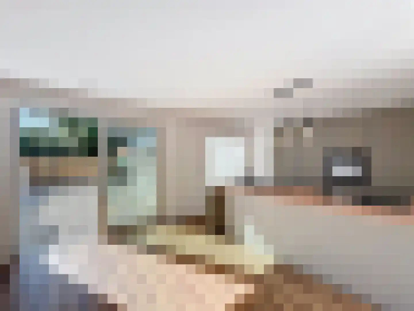 Oudestad 3 Biervliet thumbnail 7