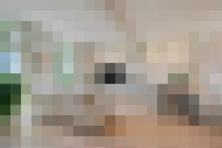 Oudestad 47 Oostburg thumbnail 10