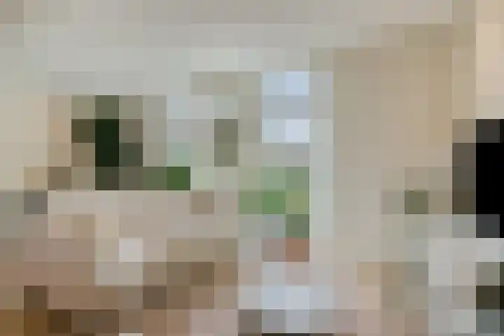 Oudestad 47 Oostburg thumbnail 11