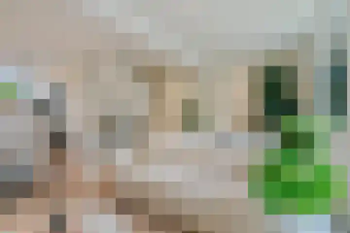 Oudestad 47 Oostburg thumbnail 12