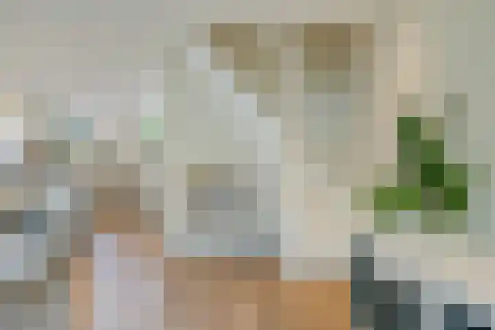 Oudestad 47 Oostburg thumbnail 13