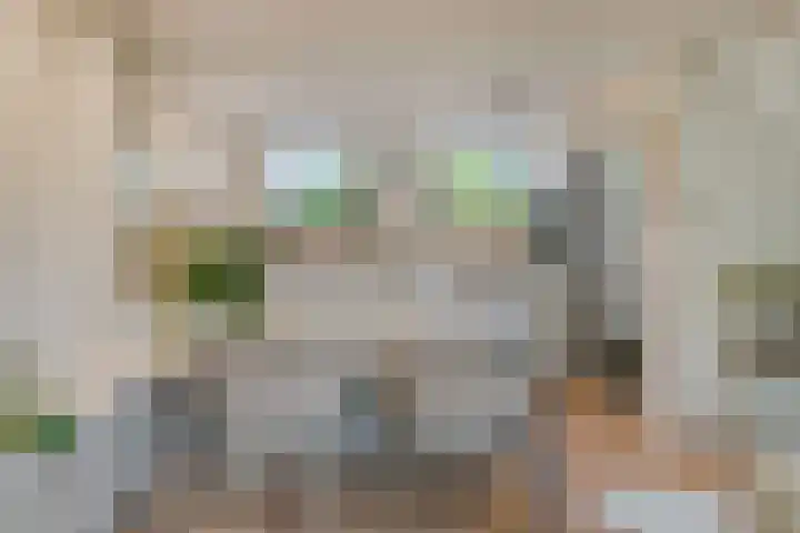 Oudestad 47 Oostburg thumbnail 15