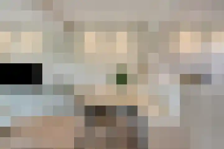 Oudestad 47 Oostburg thumbnail 16