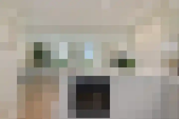 Oudestad 47 Oostburg thumbnail 18