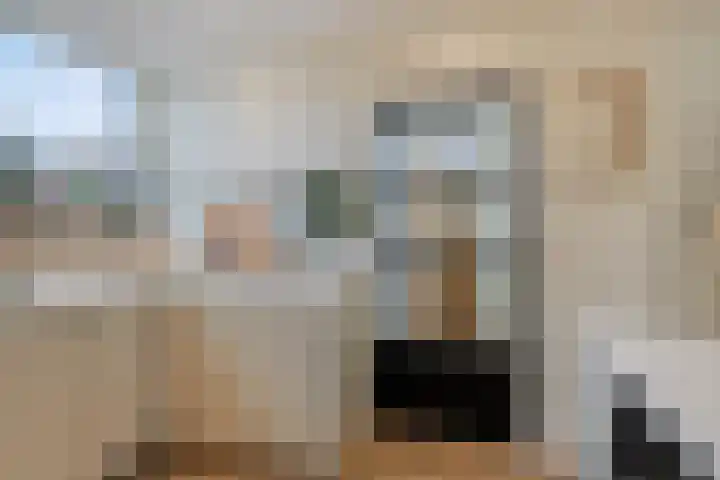 Oudestad 47 Oostburg thumbnail 20