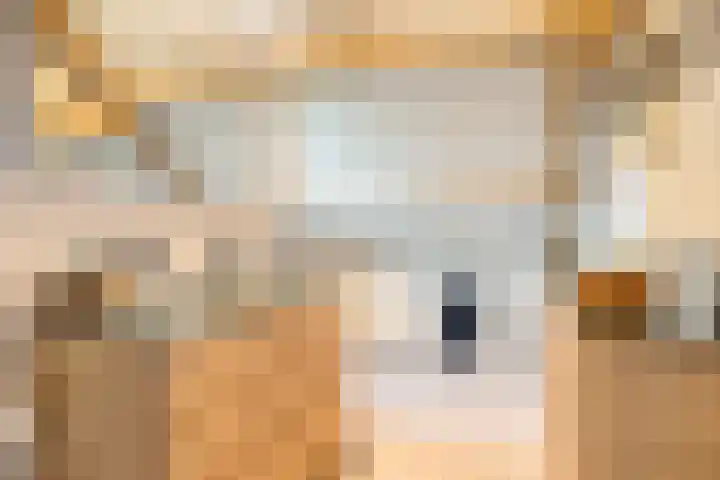 Oudestad 47 Oostburg thumbnail 25