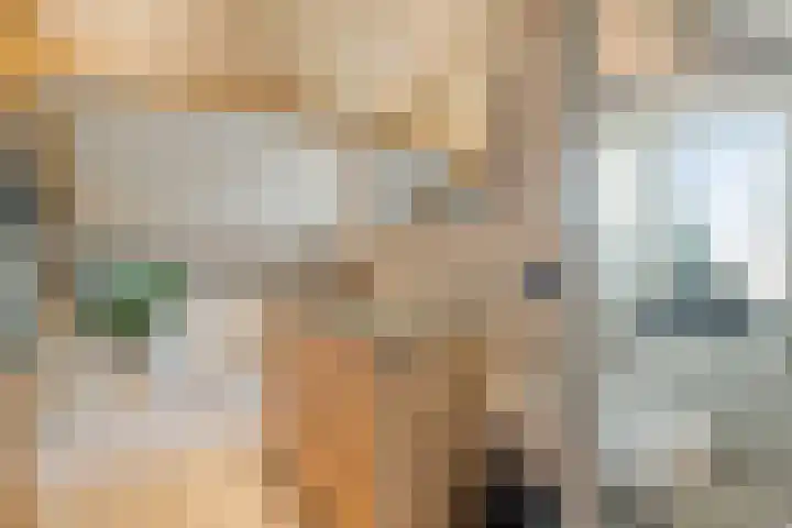 Oudestad 47 Oostburg thumbnail 26