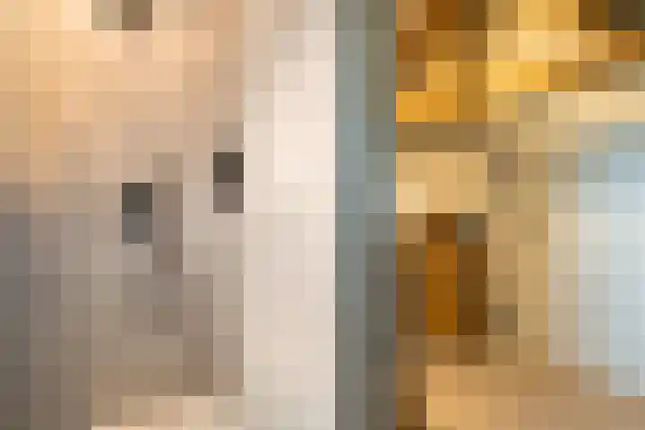 Oudestad 47 Oostburg thumbnail 27
