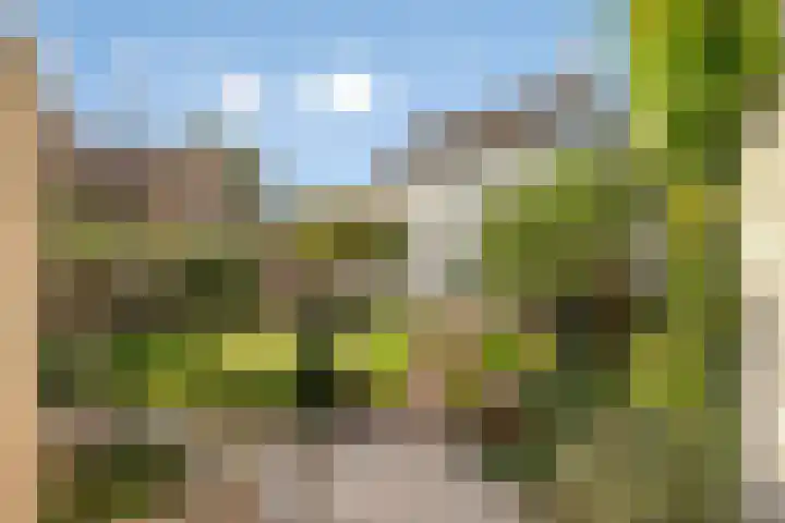 Oudestad 47 Oostburg thumbnail 28