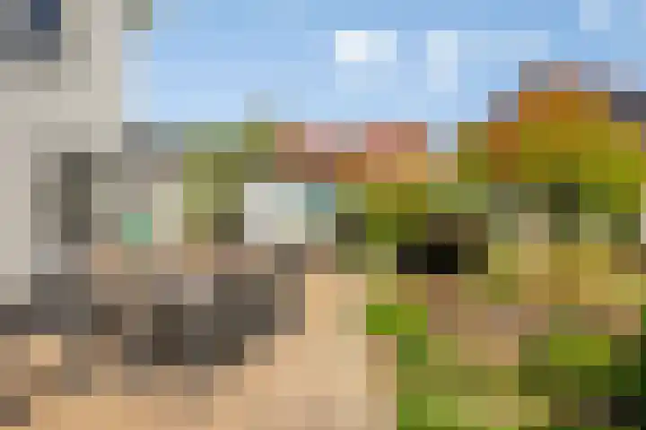 Oudestad 47 Oostburg thumbnail 30
