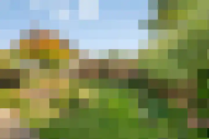 Oudestad 47 Oostburg thumbnail 31