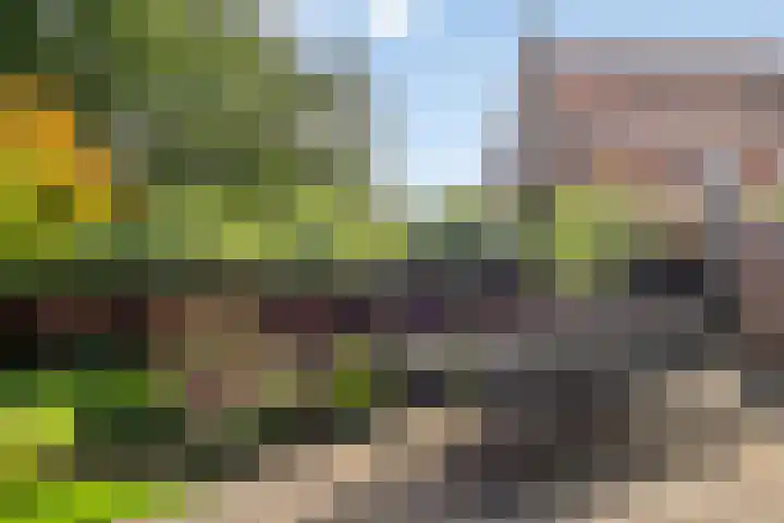 Oudestad 47 Oostburg thumbnail 33