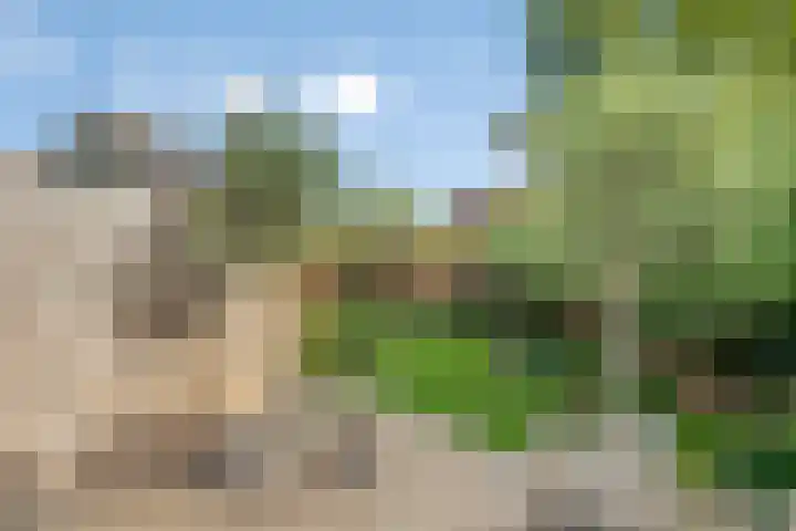 Oudestad 47 Oostburg thumbnail 35