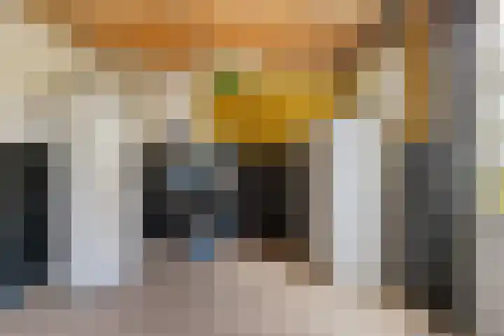 Oudestad 47 Oostburg thumbnail 41