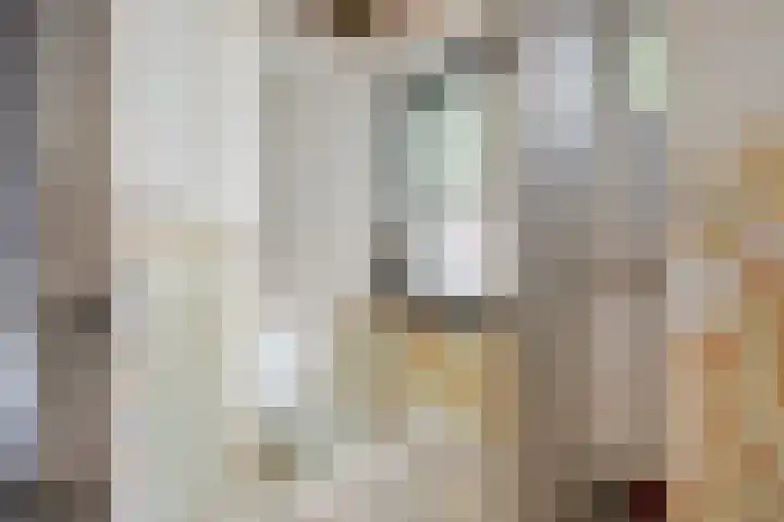 Oudestad 47 Oostburg thumbnail 43