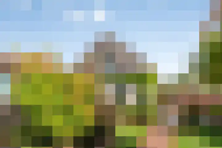Oudestad 47 Oostburg thumbnail 5