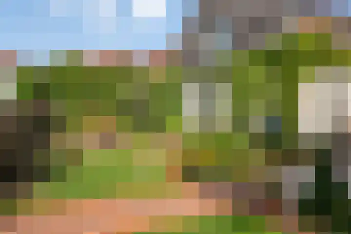 Oudestad 47 Oostburg thumbnail 6