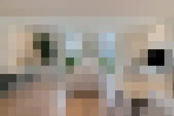 Oudestad 47 Oostburg thumbnail 9