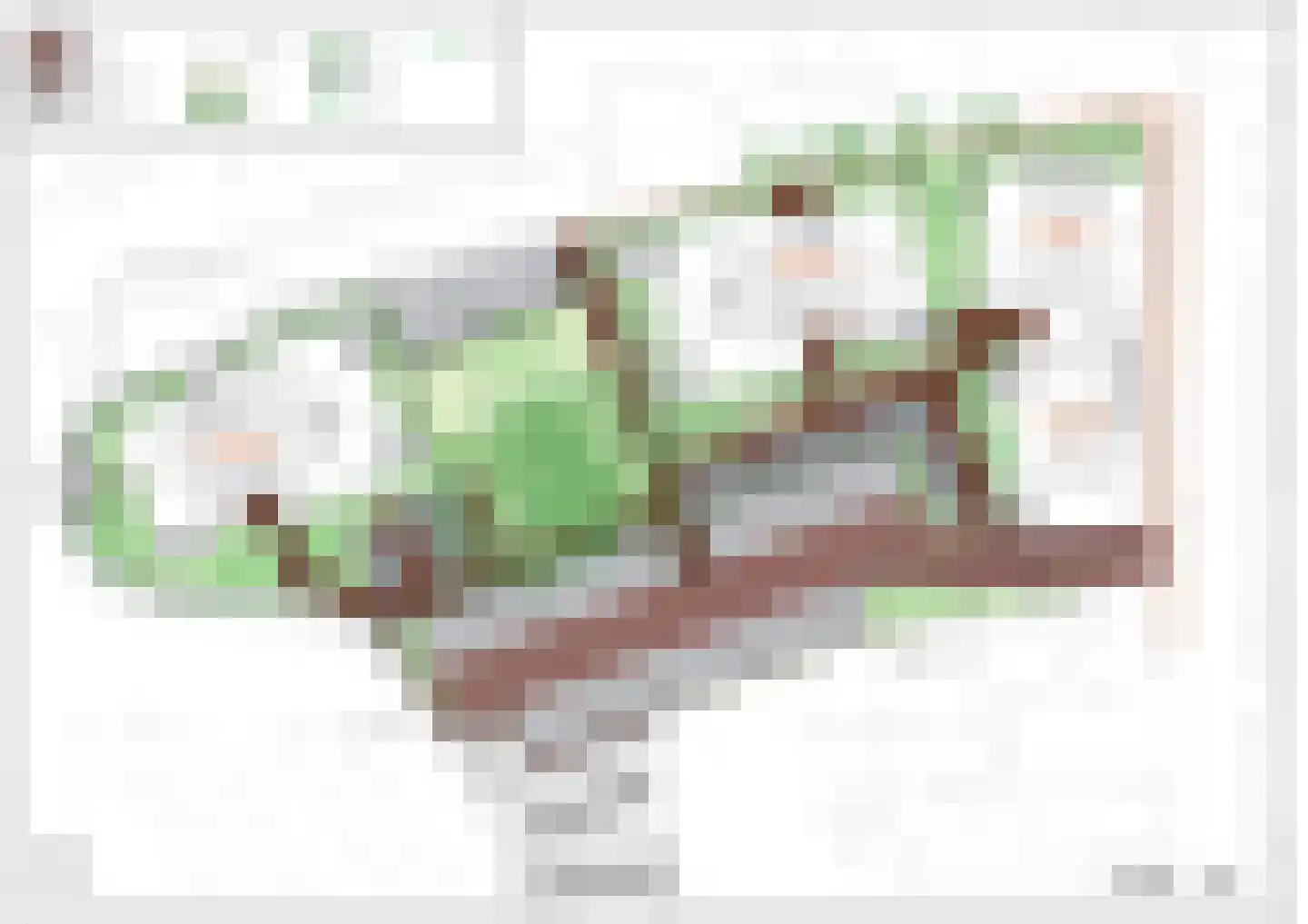 Oudestraat 1 Neede thumbnail 5