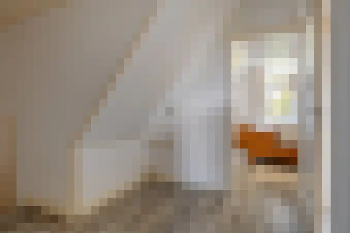 Oudestraat 10 Sint-Maartensdijk thumbnail 32