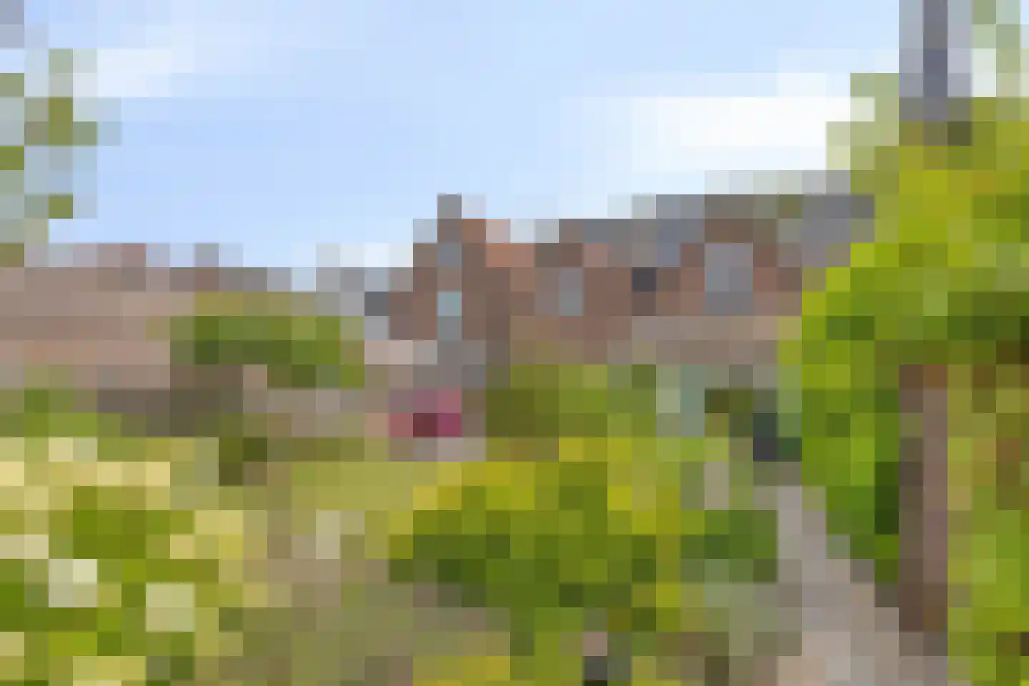 Oudestraat 10 Sint-Maartensdijk thumbnail 45